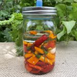 Chili Tabasco fermentieren