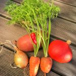 Zutaten Kürbissuppe