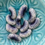 Kerne der alten Buschbohne "Nain de Veitch".