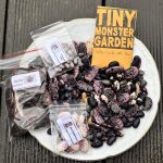 Bohnen Vielfalt auf dem Teller.