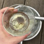 Karottensamen wässern.