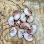 Limabohne "North Star"