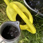 Mit Brennnessel Jauche düngeb´n.