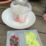 Gießseife mit Salbei und Kaffir.