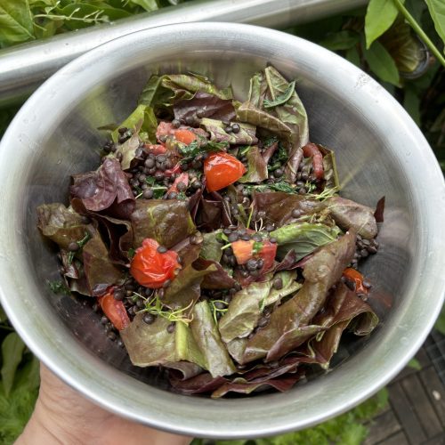Beluga Linsen Salat mit Spargelsalat.
