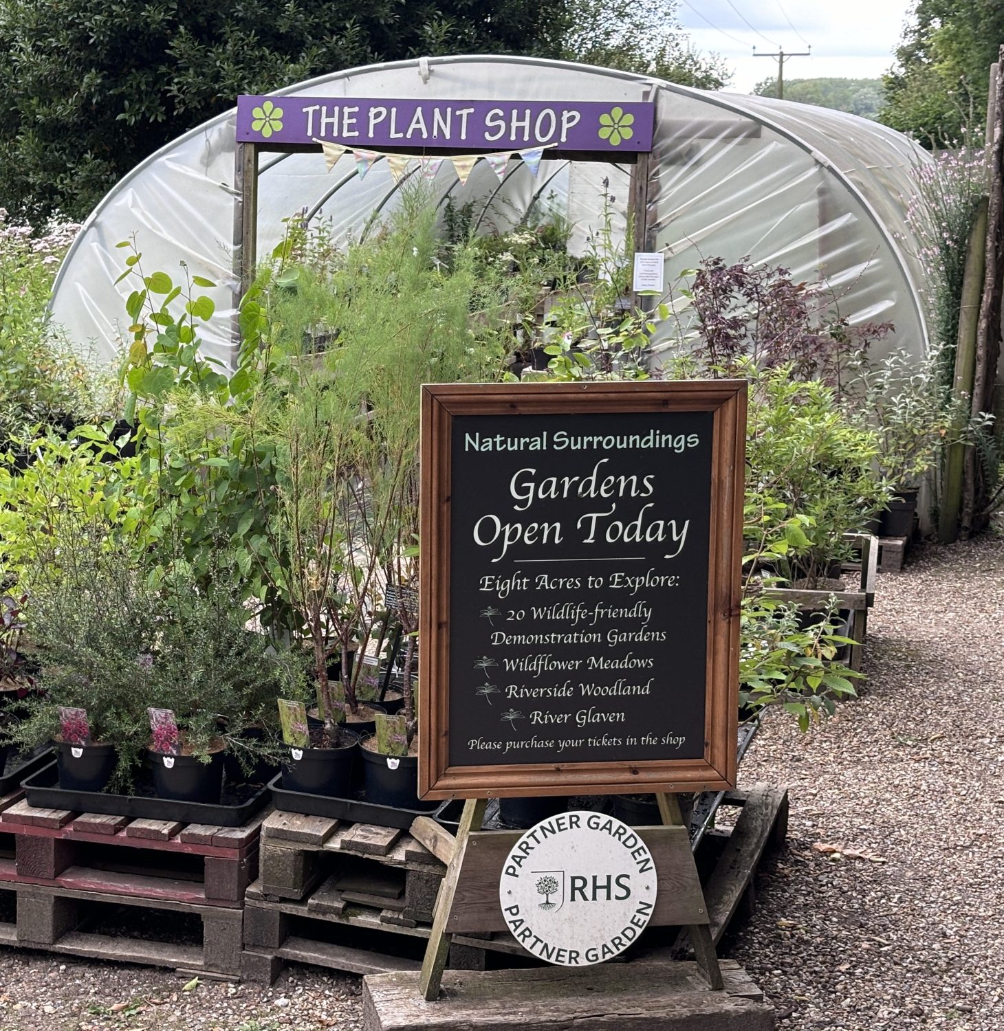 Natural Surroundings Nursery Gärtnerei Norfolk