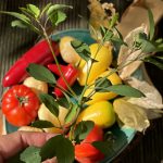 Zutaten mexikanische Salsa.