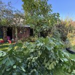 Feigenbaum ist umgefallen.