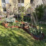 Blumenbeet mit Stahlband