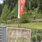 Aqualflora Schaubereich