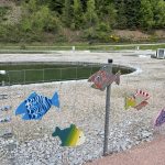 Fische der Christopherusschule