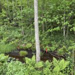 Rote Schuhe Bürgerprojekt Tal X