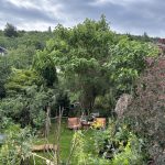 Schattenspender Klimabaum KiriKiri