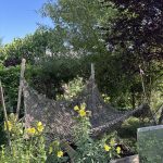 Tarnnetz als Schattenspender für das Gemüsebeet