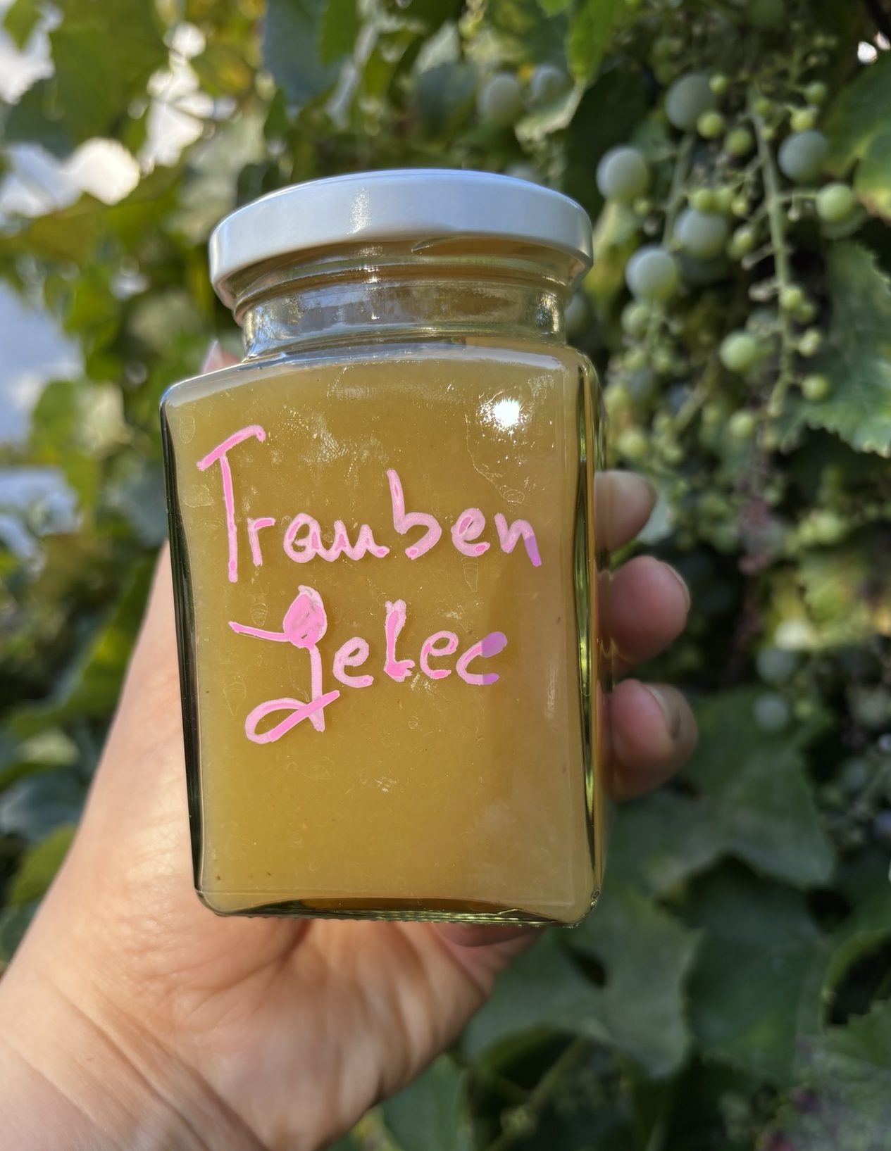 Sellbst gemachtes Trauben Gelee