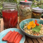 Karotten fermentieren