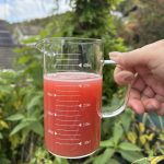 Pektin Zieräpfelchen