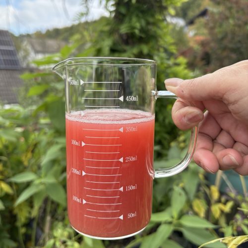 Pektin Zieräpfelchen