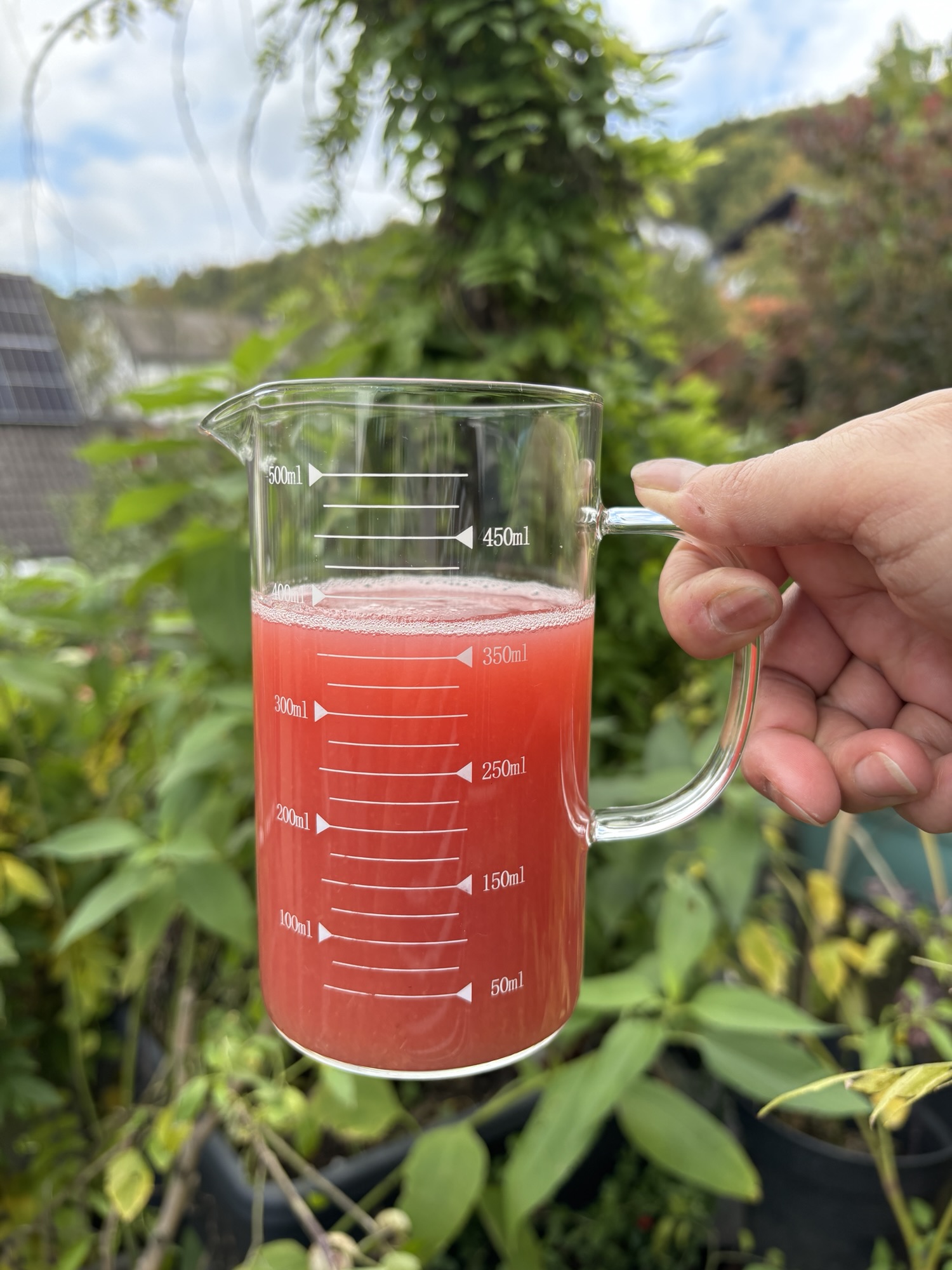 Pektin Zieräpfelchen