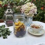 Kräuter für Gartentee