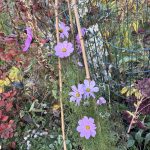 Schmuckkörbchen Stütze