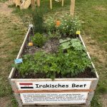Irakisches Hochbeet im Hoffnungsgarten Tal X