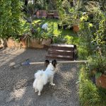 Bauarbeiten am Sitzplatz,