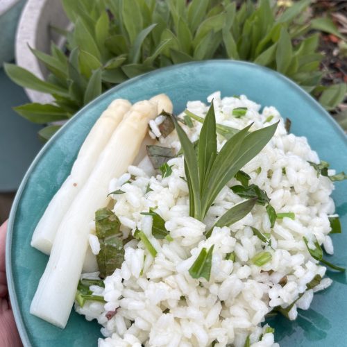 Huchel Spargel aus Wahlbeck mit Kräuter Risotto und Sclopit, eine essbare Wildblume