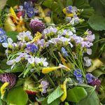 Wildkräuter Blüten Salat mit Apfel.