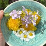 Blütenernte im Fühlingsgarten.