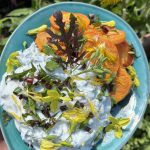 Kräuterjoghurt mit Wildkräutern und Asia Salat an Süsskartoffel.