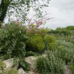 Delos von Sissinghurst Castle Garden - ein von der Griechischen Insel Delos inspirierter mediterrraner Bereich.