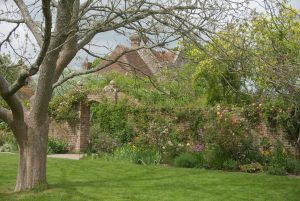 wunderbares Beet von der Seite in Sissinghurst Castle mit Rosa Persica und Judasbaum.