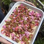 Auch als Belag für einen englischen Teekuchen sehr lecker.