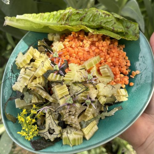 Warmer Cardy Salat