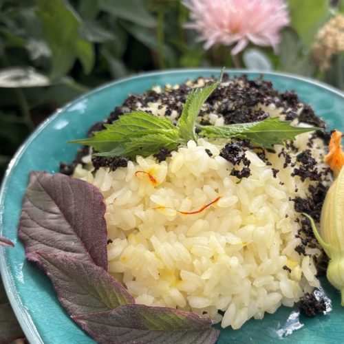 Risotto mit eigenem Safran und Shiso.