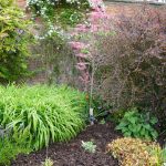 Unusual Shrubs Walled Garden Holkam Hall