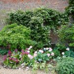 Unusual Shrubs Walled Garden Holkam Hall