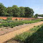 Walled Garden Holkam Hall